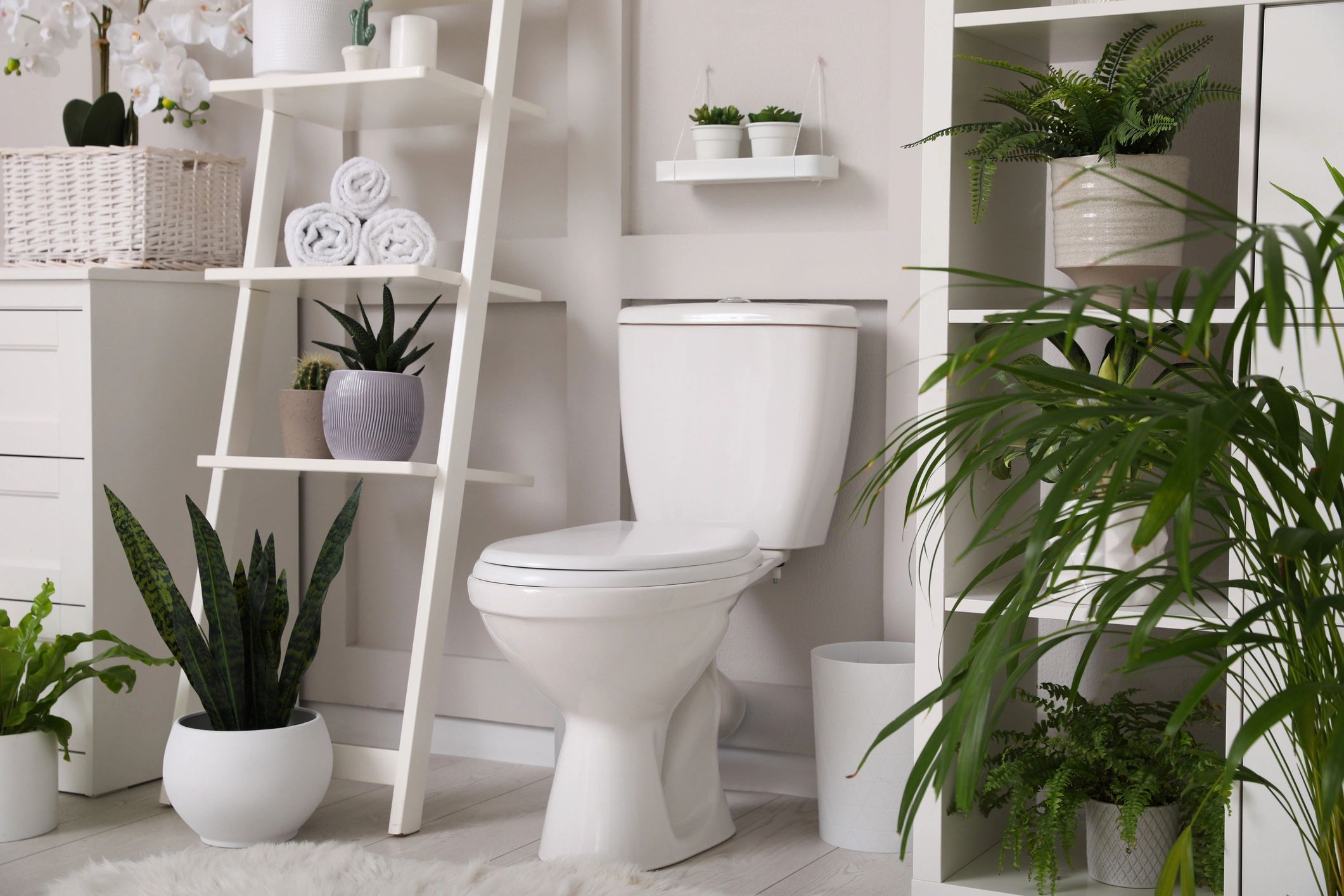 Modern white toilet in a bright bathroom with plants and shelves.